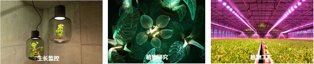 PS-470 植物光合量子传感器 图5