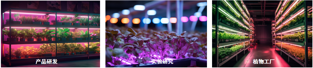 HAAS-2000HL 植物照明用高精度快速光谱辐射计（280-800nm） 图6
