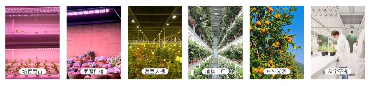 PLA-500 植物光照分析仪 图9