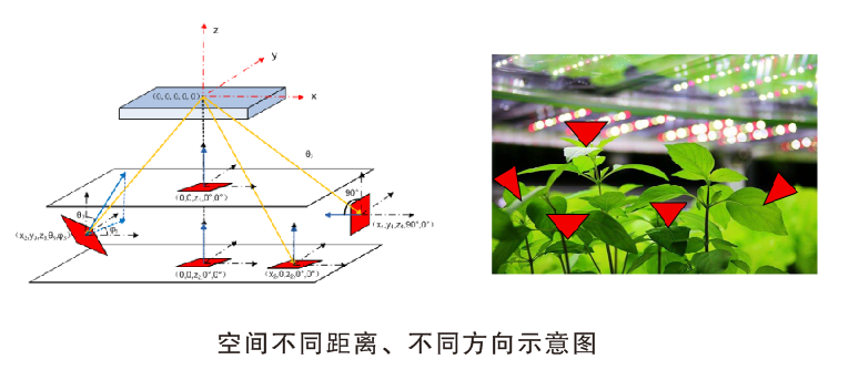 RGO-2000P 植物照明机器人分布测试系统 图6