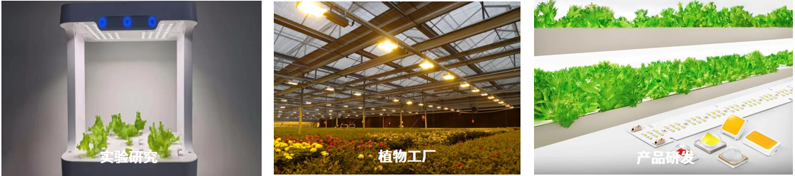 RGO-2000P 植物照明机器人分布测试系统 图7
