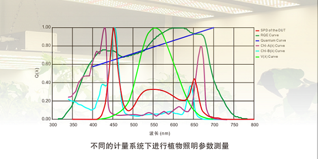PLA-500 植物光照分析仪 图4