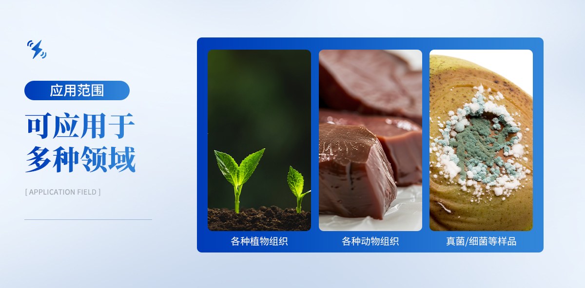 高通量组织研磨仪
