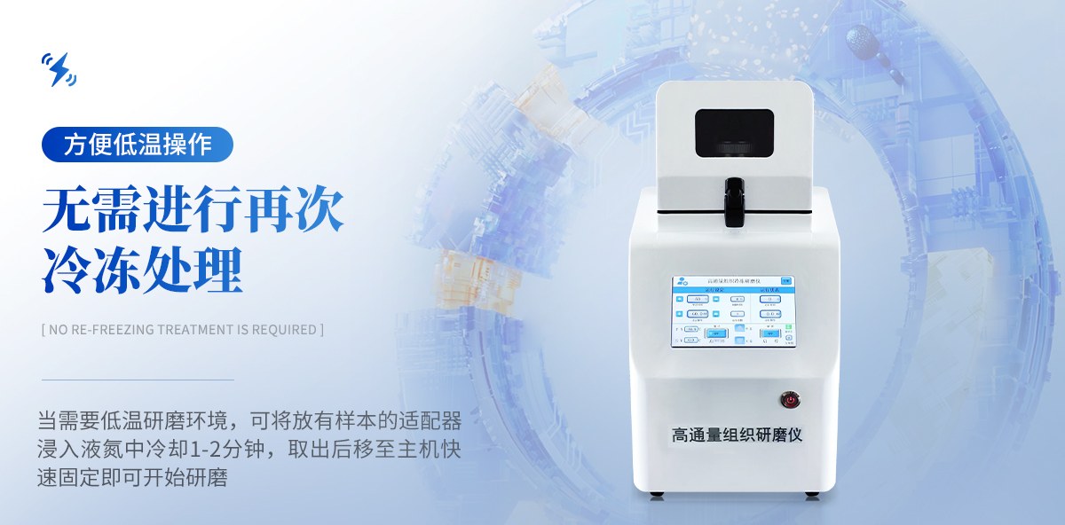 高通量组织研磨仪