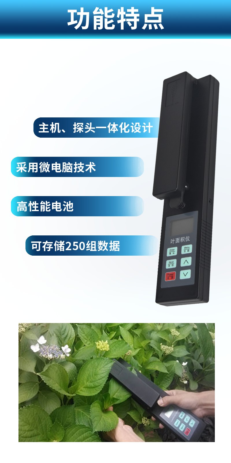 叶面积仪(YMJ-A)