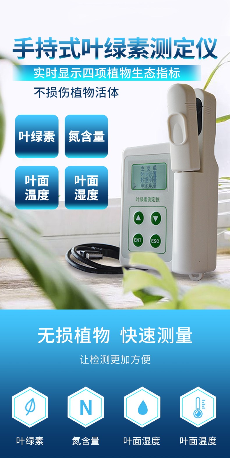 叶绿素检测仪