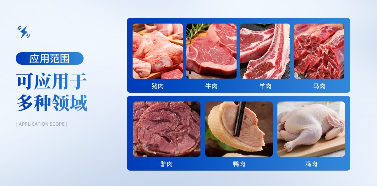 真假肉检测仪