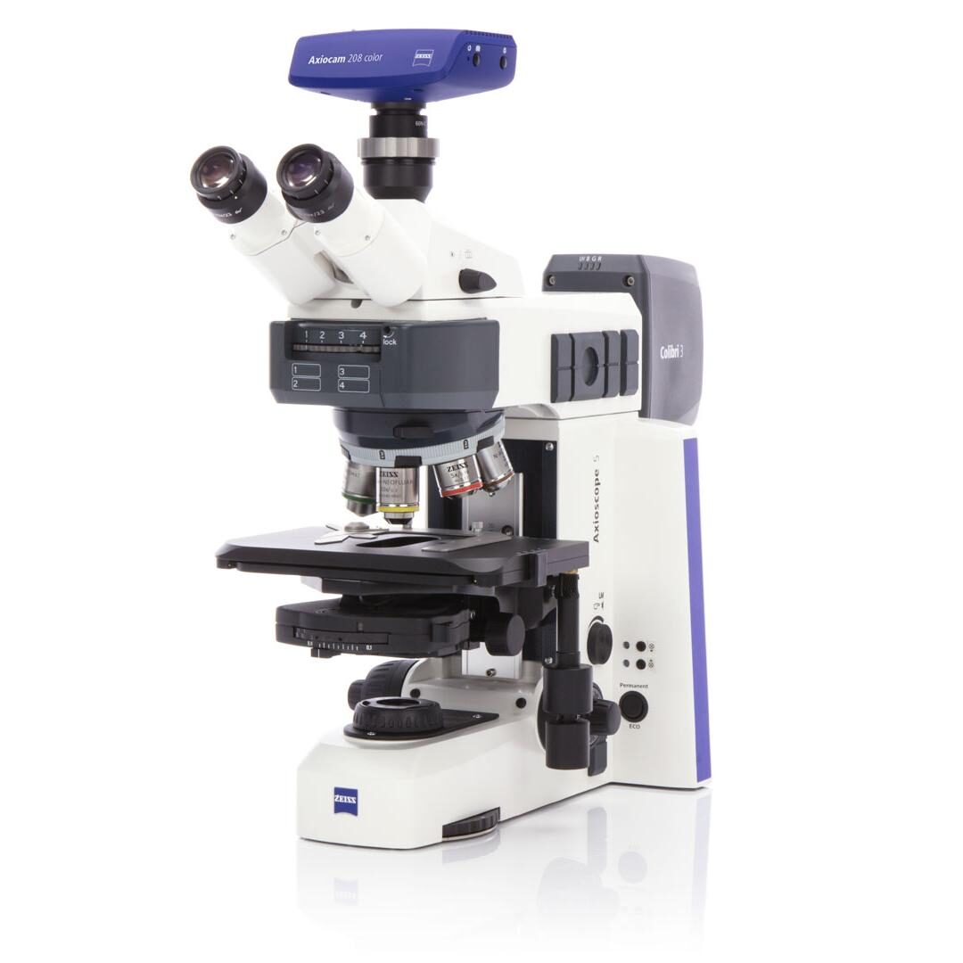 蔡司Axioscope 5宽场显微镜(用于生物研究)