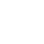 Chroma 98019-RP